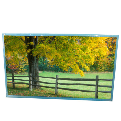 Buon prezzo 1680*1050 T216XW01 V3 21,6 pollici 90PPI TFT LCD in linea