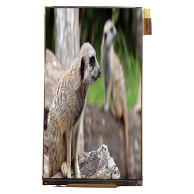 Buon prezzo LQ055K3SX02 Modulo LCD da 5,5 pollici Interfaccia 720*1280 in linea