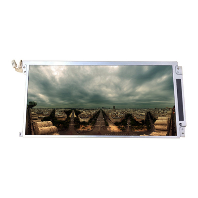 Buon prezzo LQ089B1LS11 originale in stock 8,9 pollici schermo LCD in linea