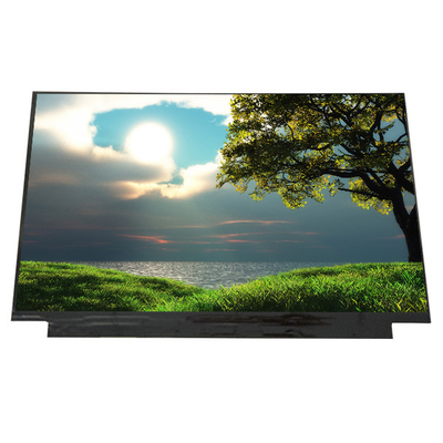 Buon prezzo LQ125M1JW31 12,5 pollici 1920*1080 30 pin Laptop schermo LCD in linea