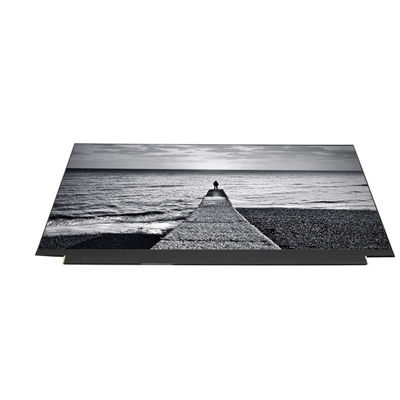 Buon prezzo LQ133M1JW40 13,3 pollici 1920*1080 LCD Screen Panel FHD Personalizzato in linea