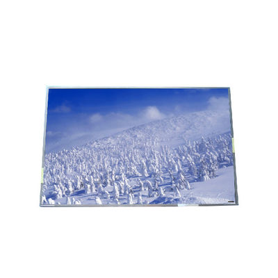 Buon prezzo Per il pannello LCD AUO B170UW01 V2 RGB 1920*1200 132PPI in linea