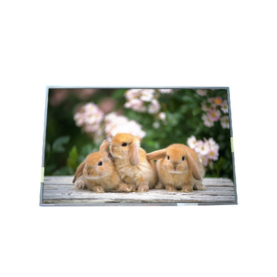 Buon prezzo Originale in magazzino dimensione 17,3 pollici B170PW05 V1 schermo LCD in linea