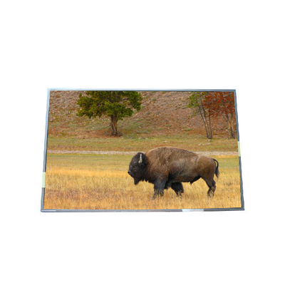 Buon prezzo Fornitura 17.0 pollici B170PW03 V5 99PPI TFT LCD Panel in linea