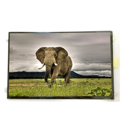 Buon prezzo B101UAN01.9 10,1 pollici 16,7M 52% NTSC schermo LCD in linea
