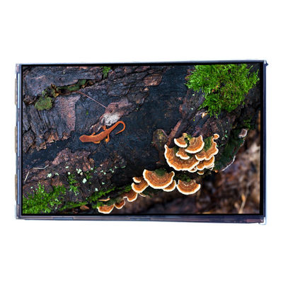 Buon prezzo VVX07H005A00 7.0 pollici 450 cd/m2 LCD Display Panel in linea