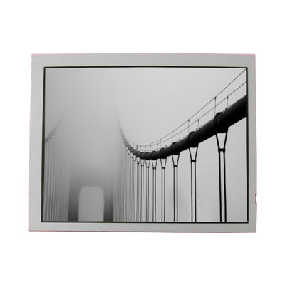 Buon prezzo LT065AC57400 LCD Display Display pannello LCD da 6,5 pollici in linea