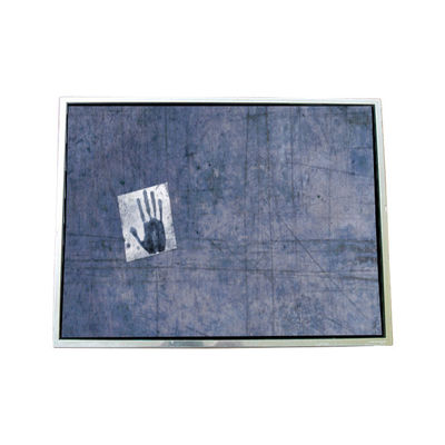 Buon prezzo LTD133EV1F 262K 13.3 pollici TFT LCD Screen Panel per laptop in linea