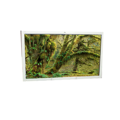 Buon prezzo Nuovo A101EW01 V0 10,1 pollici 1280*800 schermo LCD per Netbook in linea
