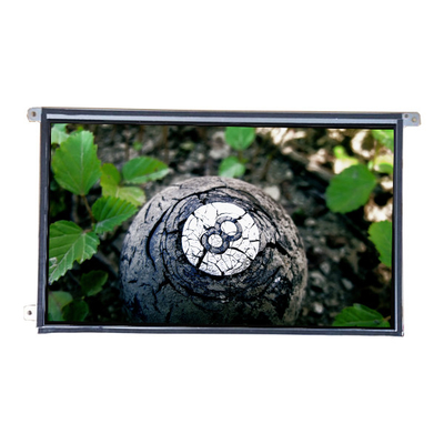 Buon prezzo LTM09C362A 8.9 pollici 1024*600 pannello TFT-LCD in linea