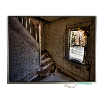 Buon prezzo LTM12C328T 12,1 pollici 1024*768 schermo TFT-LCD in linea