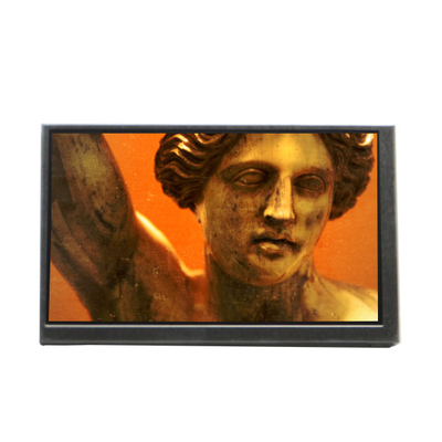 Buon prezzo TCG070WVLPEANN-AN20 7.0 pollici 800*480 pannello LCD per Kyocera in linea