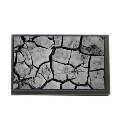 Buon prezzo TCG070WVLPEANN-AN30 7.0 pollici 800*480 pannello LCD per Kyocera in linea