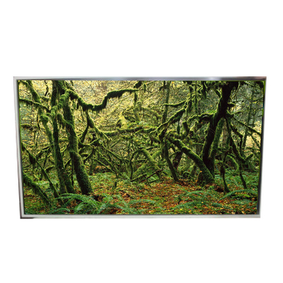 Buon prezzo LD490EPY-SHP1 51 Pins 1920*1080 60Hz schermo LCD per segnaletica digitale in linea