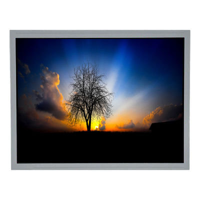 Buon prezzo TCG104XGLPAPNN-AN31 10,4 pollici 1024*768 600 cd/m2 schermo LCD in linea