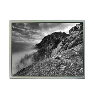 Buon prezzo TCG121XGLPAPNN-AN20-TA 12,1 pollici schermo LCD 1024*768 in linea