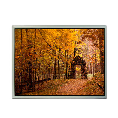 Buon prezzo TCG150XGLBB-C00 15,0 pollici schermo LCD 1024*768 per l'industria in linea