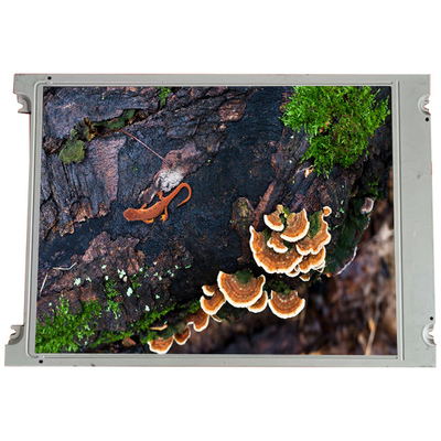 Buon prezzo LM213XB 5,8 pollici 256*64 schermo LCD display in linea