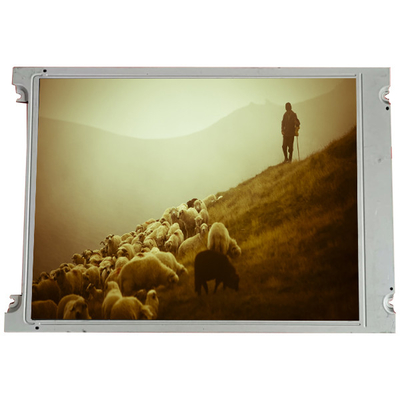 Buon prezzo LMG6382QHFR 4,8 pollici 256*64 schermo LCD display in linea