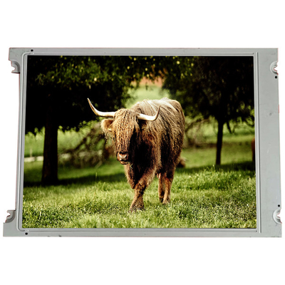 Buon prezzo LMG6411PLGE 5,4 pollici 240*128 schermo LCD display in linea