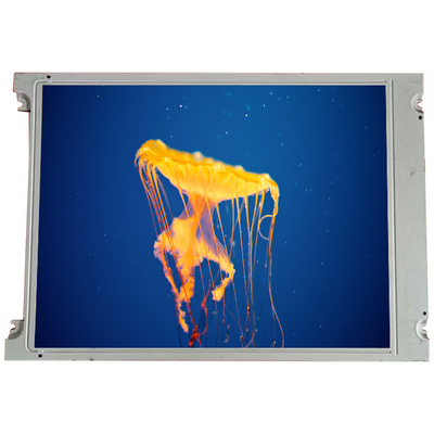 Buon prezzo SX16H005-ZZA 6.2 pollici 640*240 pannello schermo LCD per industriali in linea