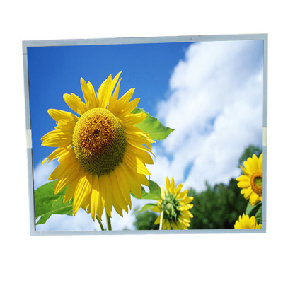 Buon prezzo LM190E0A-SLE1 19.0 pollici 1280*1024 Industrial LCD Display Panel in linea