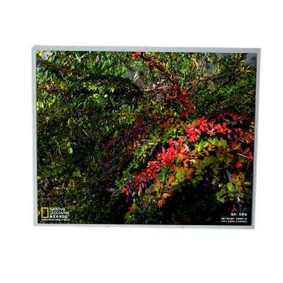 Buon prezzo LM201U1-A3 Moduli LCD da 20,1 pollici 1600*1200 in linea