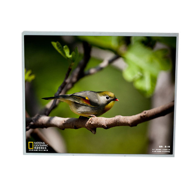 Buon prezzo LM201U1-A3M1 20,1 pollici 1600*1200 schermo LCD in linea