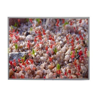 Buon prezzo LM201W01-A6K2 Pannello LCD da 20,1 pollici 1680*1050 Display LCD in linea