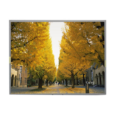Buon prezzo LM2013-WETLB1 20,1 pollici schermo LCD Display LCD 1680*1050 in linea