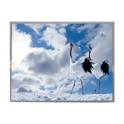 Buon prezzo LM2013-WETLD1 20,1 pollici schermo LCD LVDS 30 pin display LCD in linea