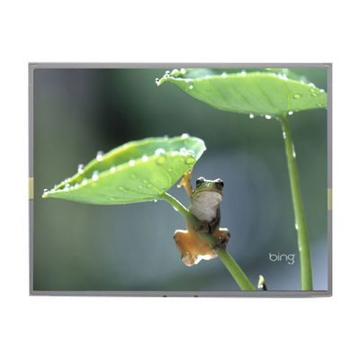 Buon prezzo LM2013-WETLF1 Originale in magazzino 20,1 pollici schermo LCD in linea