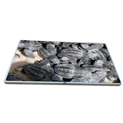 Buon prezzo LM215WF2-SLA1 Originale in stock Display LCD da 21,5 pollici in linea