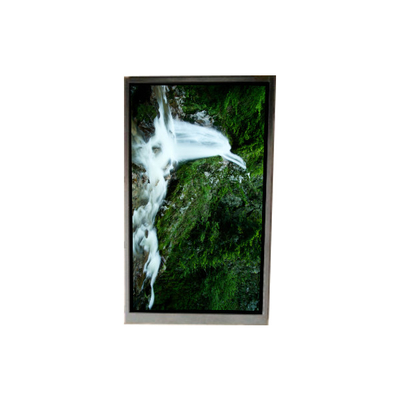 Buon prezzo BA060WV1-100 6,0 pollici 480*854 schermo LCD per telefono cellulare in linea