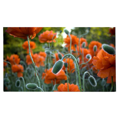 Buon prezzo LM270WR8-SSC1 27.0 pollici Pannello LCD 3840*2160 Display LCD in linea