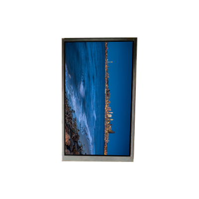 Buon prezzo BS052FHG-N30-6C00 Display LCD da 5,2 pollici in linea