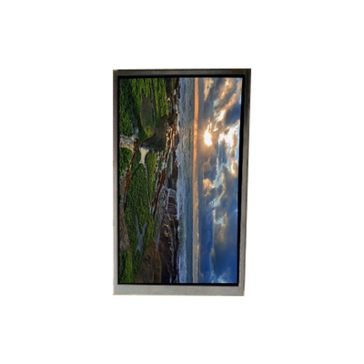 Buon prezzo BS053HDG-N50-6200 Display LCD da 5,2 pollici in linea