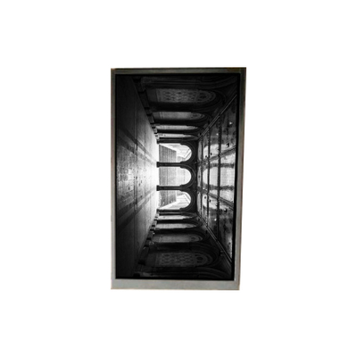 Buon prezzo BS055FHE-L30-6Q01 Display LCD 5,5 pollici in linea
