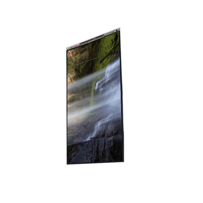 Buon prezzo BS055FHE-N30-6Q00 Display LCD 5,5 pollici in linea