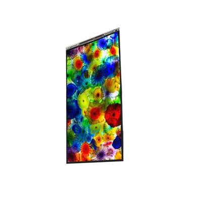 Buon prezzo BS060WKE-LB0-6Q00 Display LCD da 6,0 pollici in linea