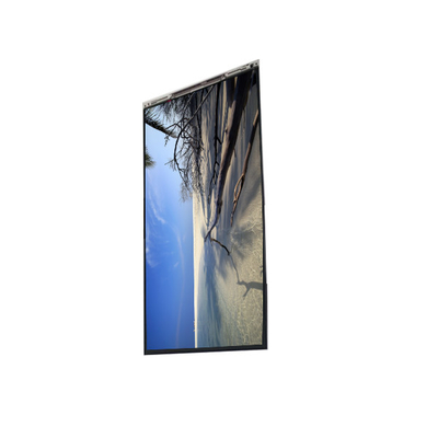 Buon prezzo BS060Y8E-L30-6Q00 Display LCD da 6,0 pollici in linea