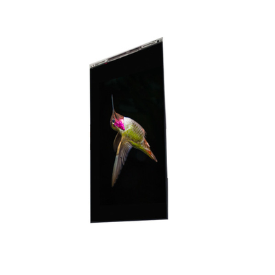 Buon prezzo BS062FBE-L30-6Q00 Display LCD da 6,3 pollici in linea