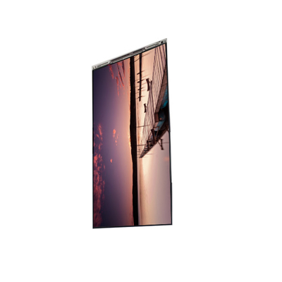 Buon prezzo BS062WFS-L30 Display LCD da 6,2 pollici in linea