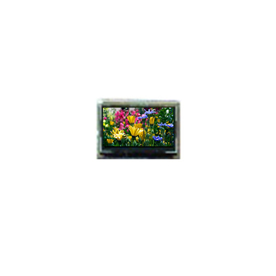 Buon prezzo BT1010SFQ-N80 Display LCD da 1,0 pollici in linea