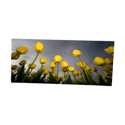 Buon prezzo LM340WW2-SSD1 Display LCD da 34,0 pollici 2560*1080 in linea
