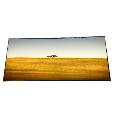 Buon prezzo LP089WS1-A1 8,9 pollici schermo LCD 1024*600 pannello LCD in linea