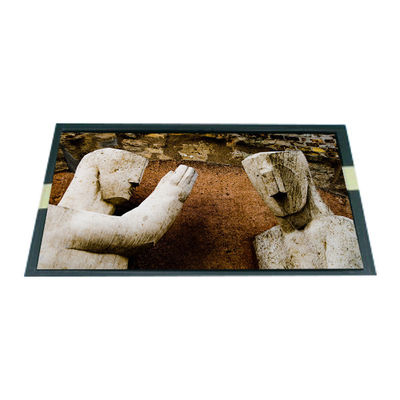 Buon prezzo LP089WS1-TLB1 Modulo LCD da 8,9 pollici per LG in linea