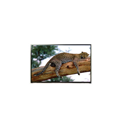 Buon prezzo LP141WP1-TLE6 14,1 pollici pannello LCD a 60 Hz 1440*900 schermo LCD in linea