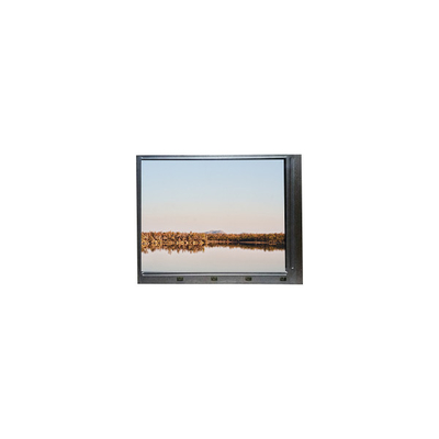 Buon prezzo MV238FHB-N31 23,8 pollici schermo TFT-LCD per monitor desktop in linea