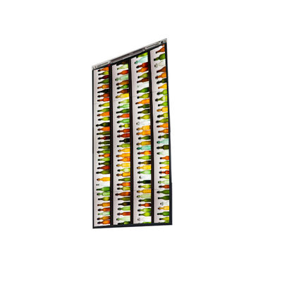 Buon prezzo 5.5 pollici 480 * 854 BT055FWM-N00 schermo LCD per BOE in linea